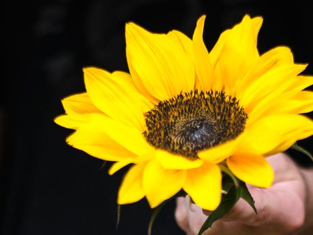 The Sunflower Fund Ride 4 Hope